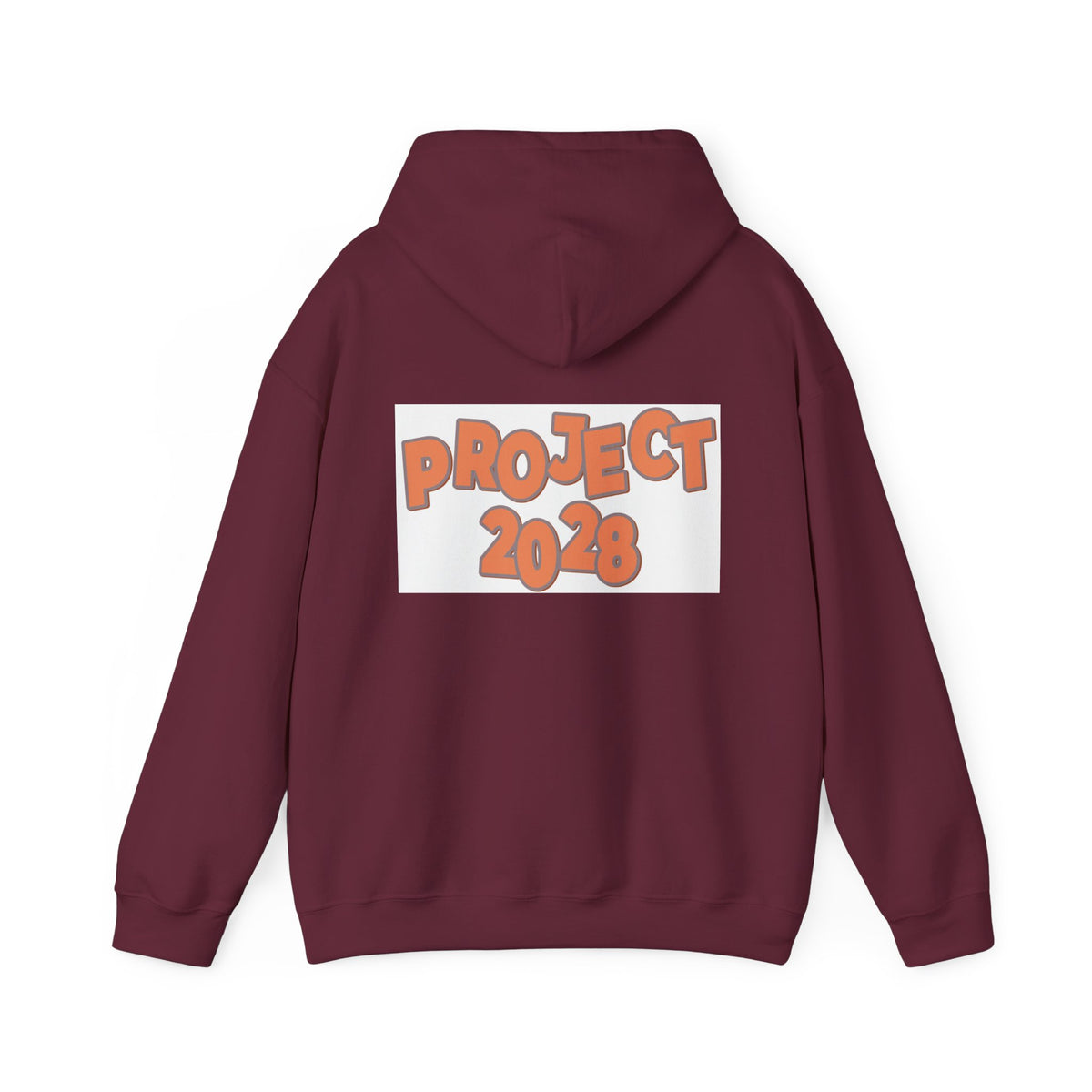 Project 2028 Hoodie | Protect Democracy text design