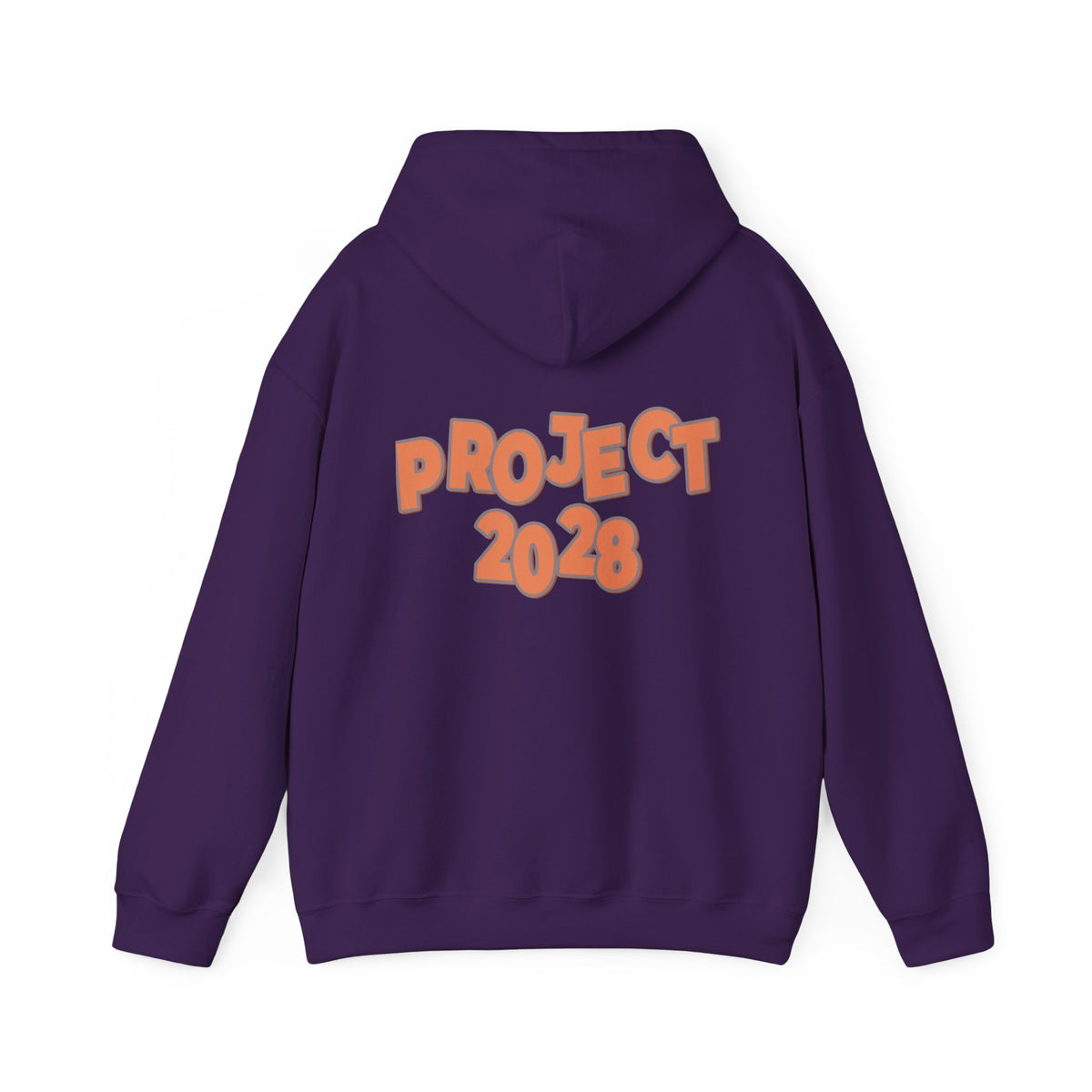 Protect Democracy Project 2028 Hoodie | Social Awareness