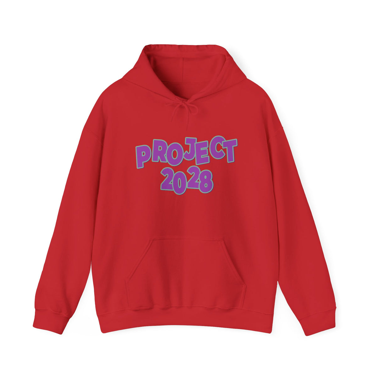 Project 2028 Hoodie | Democracy | Social Awareness