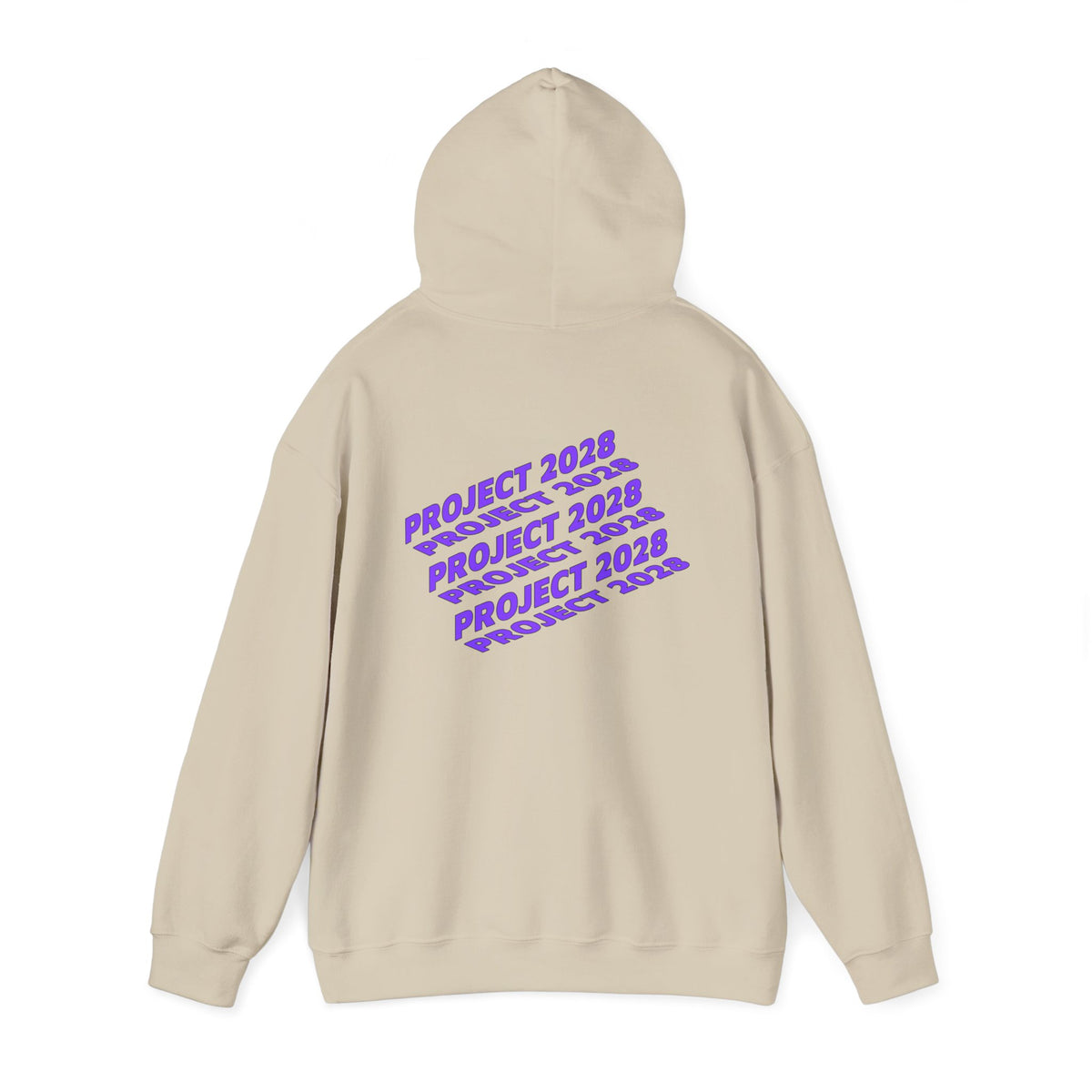 Project 2028 Hoodie | Social Justice