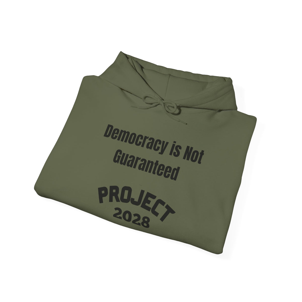 Copy of Project 2028 hoodie | Democracy | Social Awareness