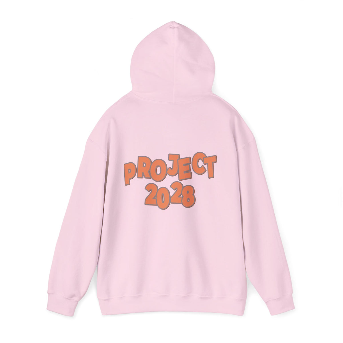 Protect Democracy Project 2028 Hoodie | Social Awareness