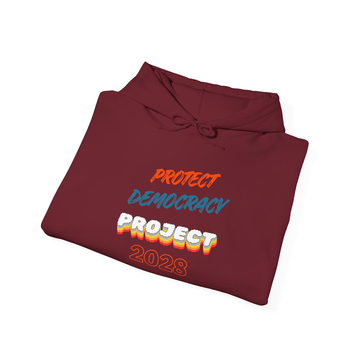 Protect Democracy Project 2028 Hoodie | Social Awareness