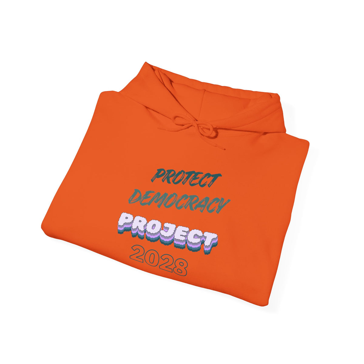 Project 2028 Hoodie | Protect Democracy, Project 2028 design