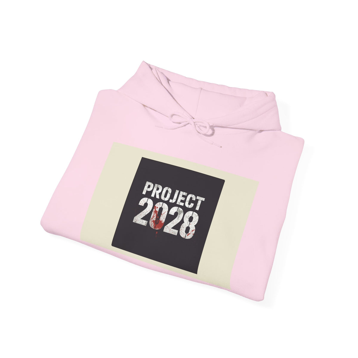 Product 2028 graphic hoodie | Democracy | Social Justice