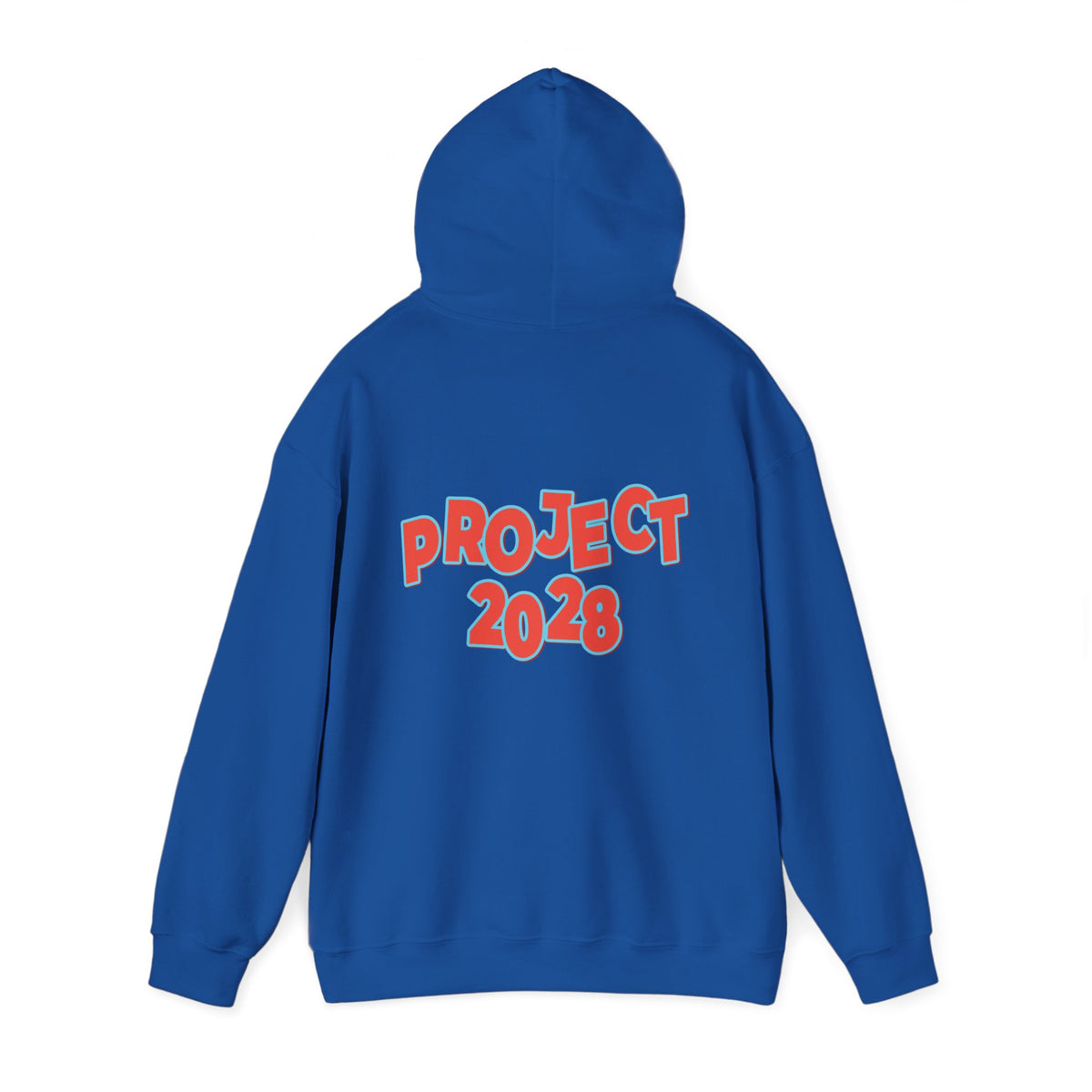 Action Project 2028 Hoodie | Democracy Movement Sweatshirt