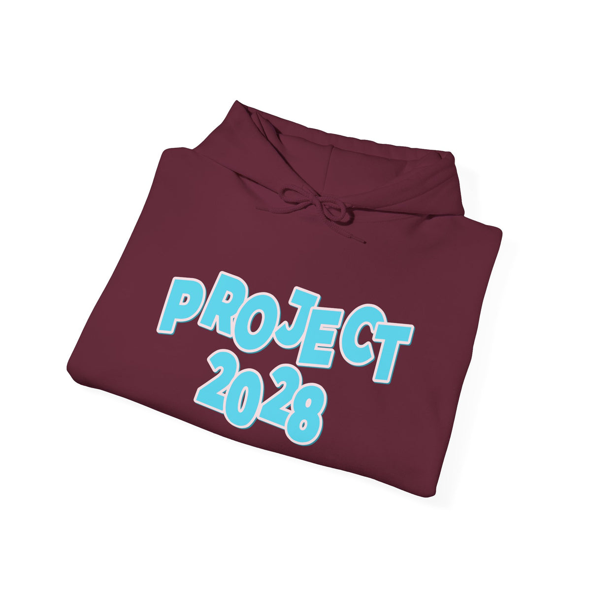 Project 2028 Hoodie | Democracy | Social Awareness