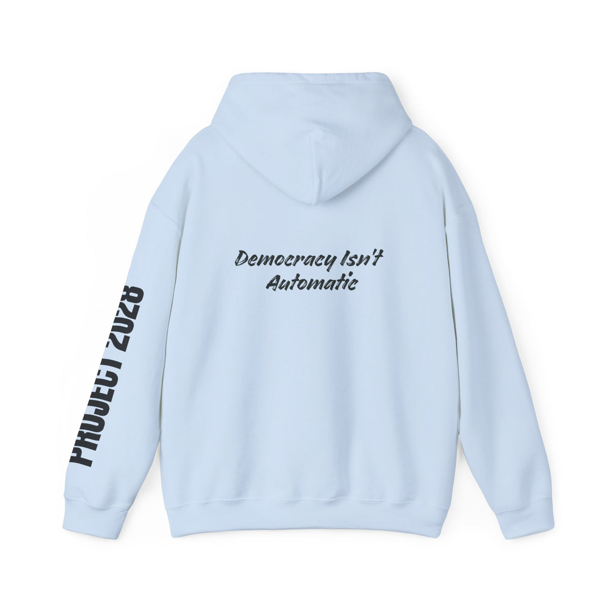 Protect Democracy Project 2028 Hoodie | Social Awareness