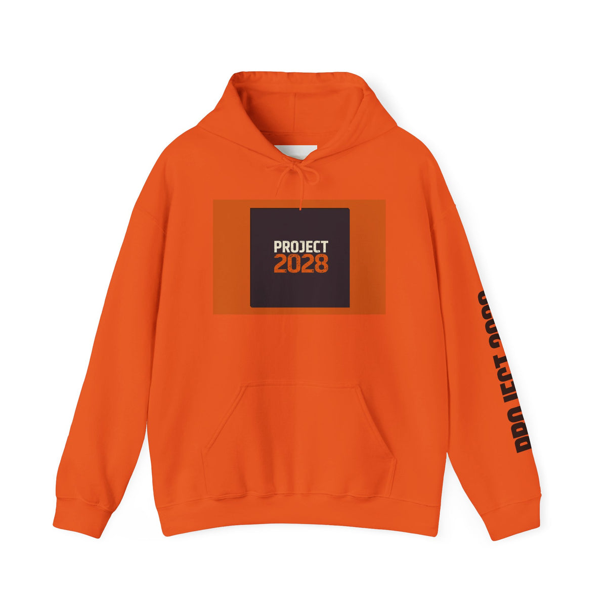 Project 2108 Graphic Hoodie | Democracy Isn't Automatic Back Print
