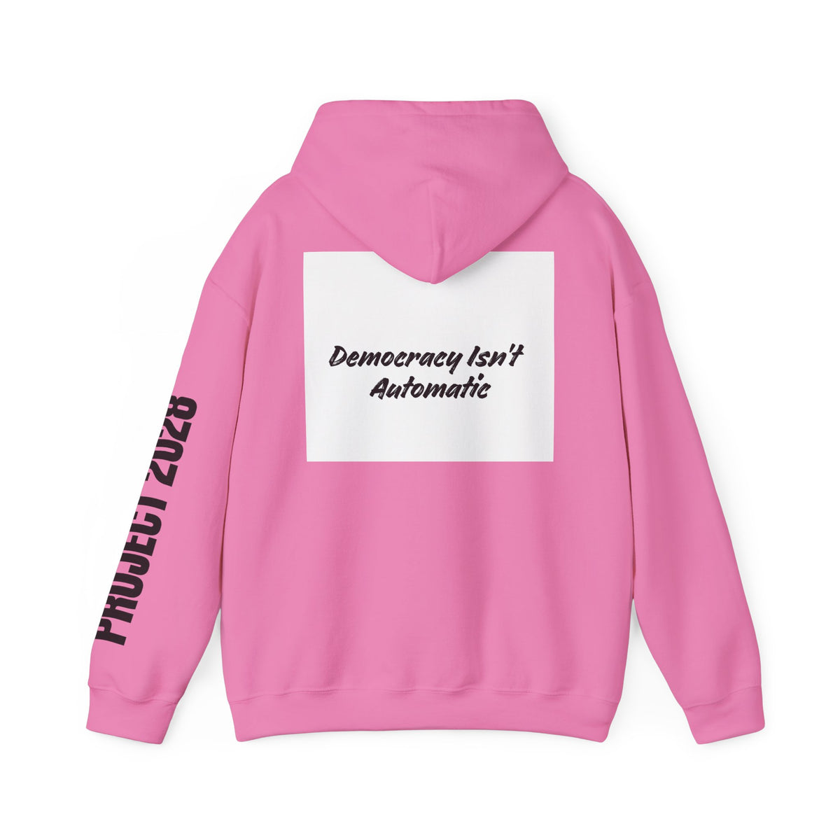 Protect Democracy Project 2028 Hoodie | Social Awareness