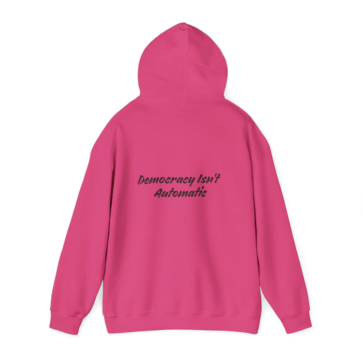 Protect Democracy Project 2028 Hoodie | democracy text design