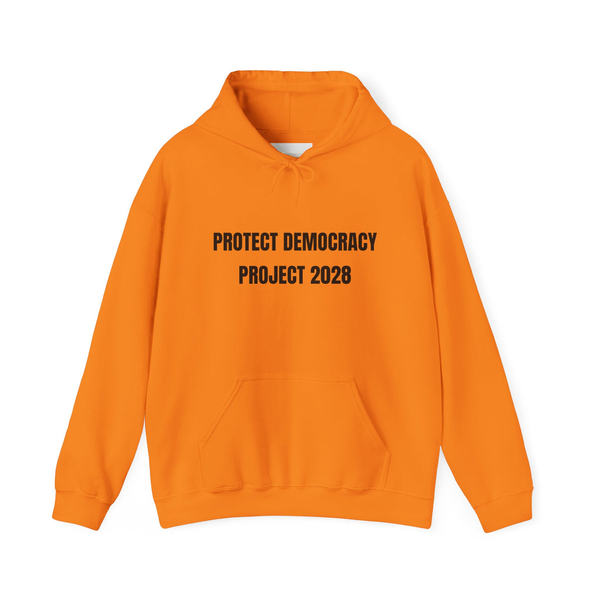 Protect Democracy Project 2028 Hoodie | Social Awareness