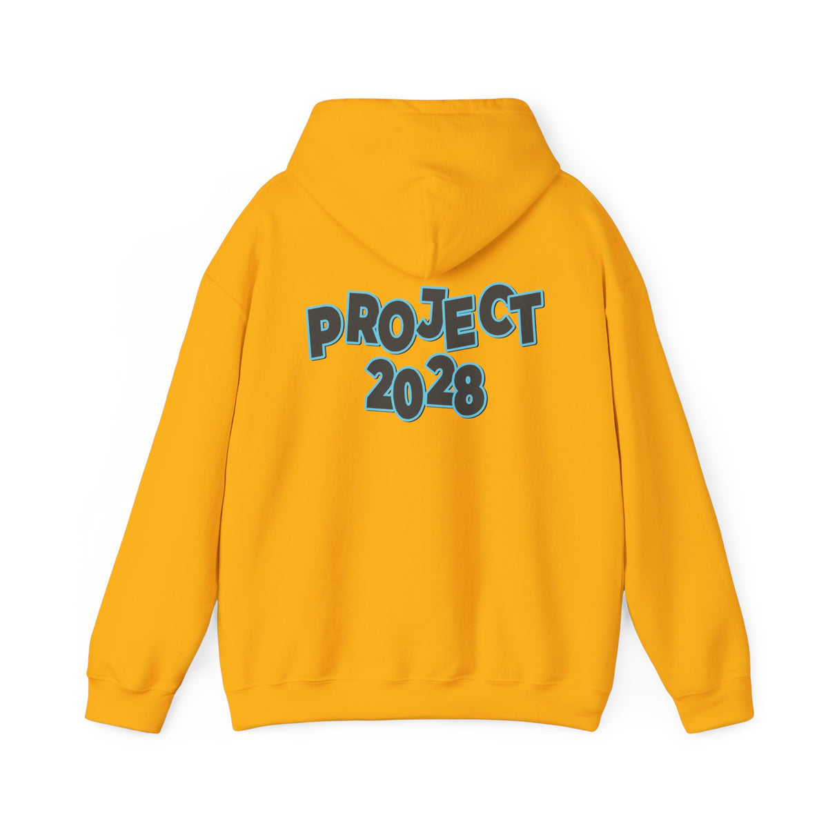 Project 2028 Hoodie | Protect Democracy, Project 2028 design