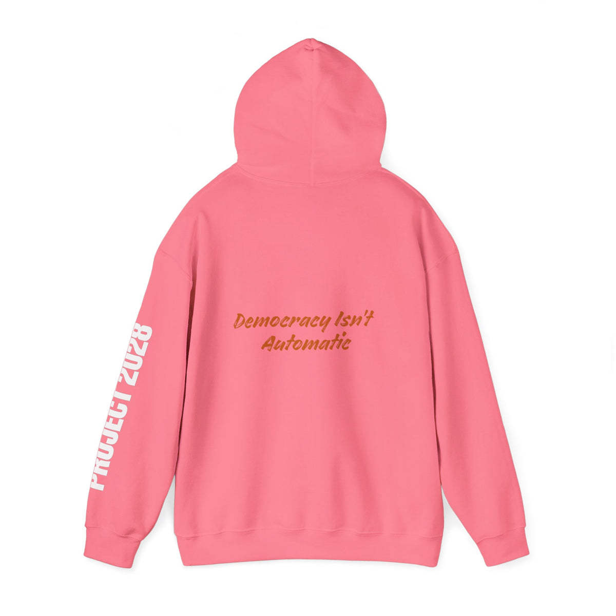 Project 2028 Hoodie | Democracy | Social Awareness