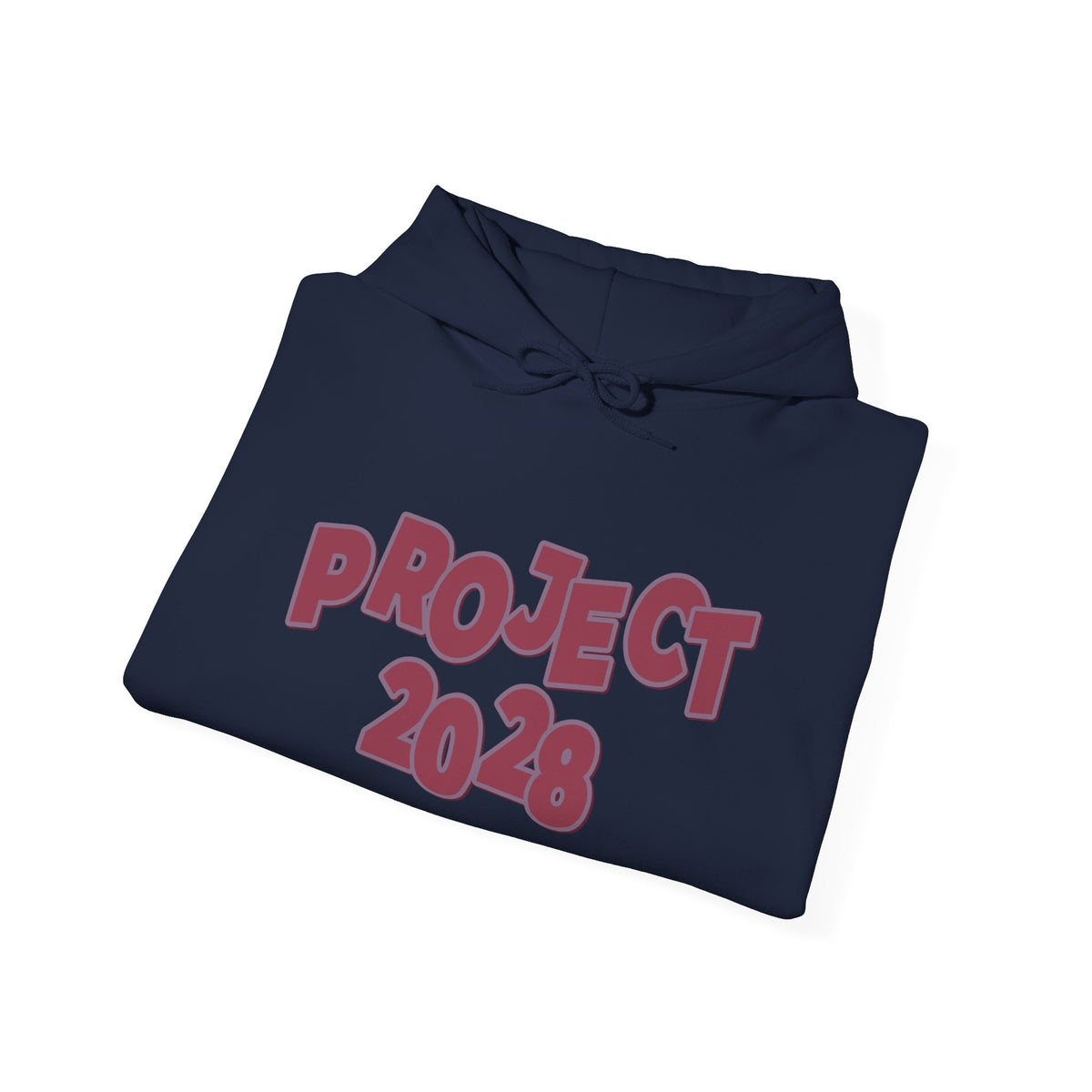 Project 2028 Hoodie | Social Awareness - 2