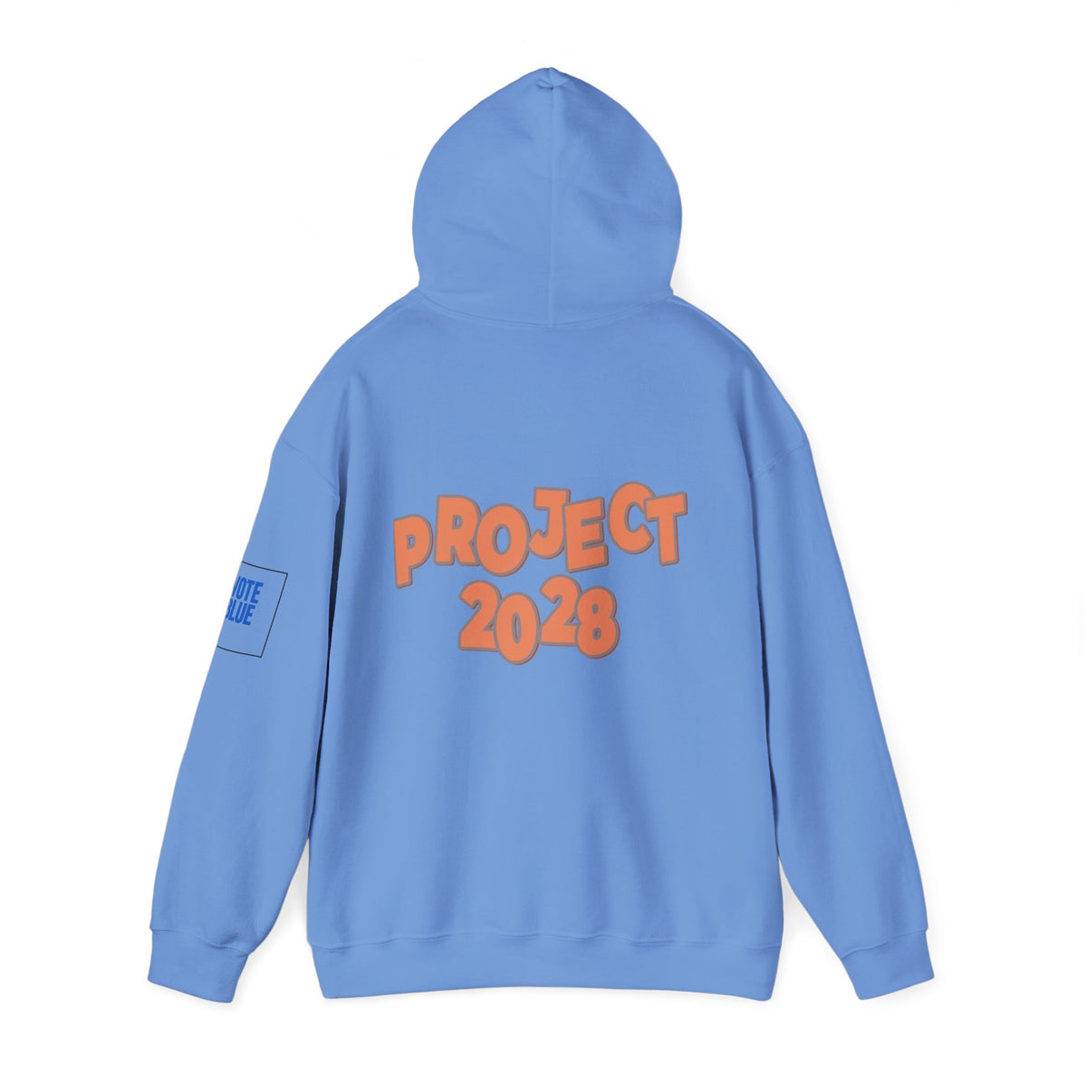 Protect Democracy Project 2028 Hoodie | Social Awareness