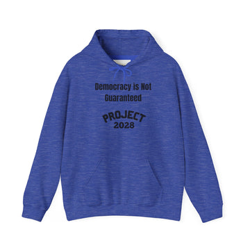Project 2028 hoodie | Democracy | Social Awareness