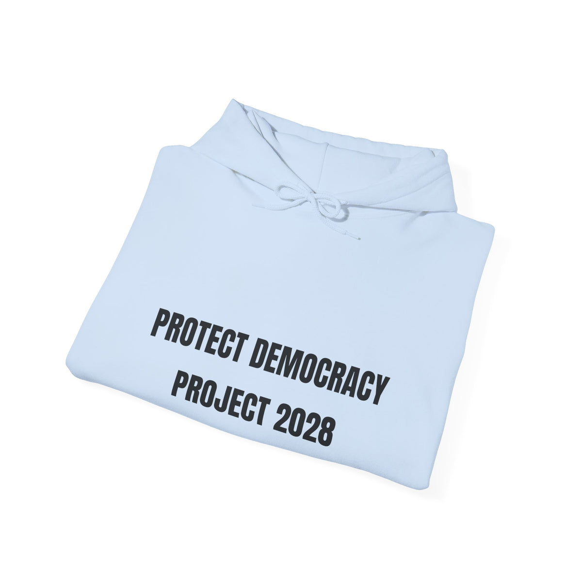 Protect Democracy Project 2028 Hoodie | Social Awareness