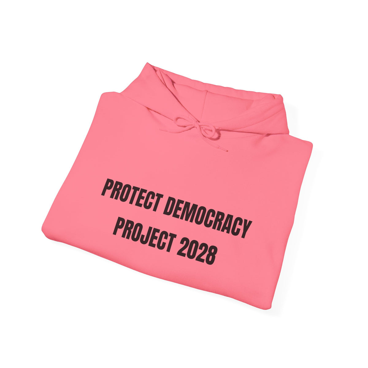 Protect Democracy Project 2028 Hoodie | Social Awareness