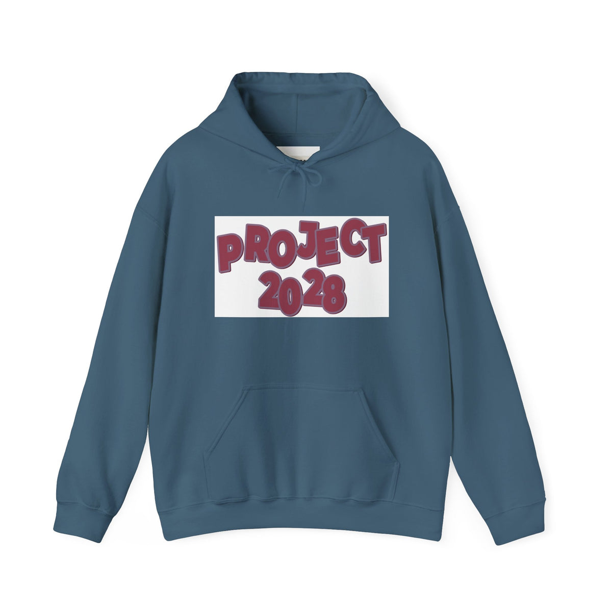 Project 2028 hoodie | Democracy Isn't Automatic back print