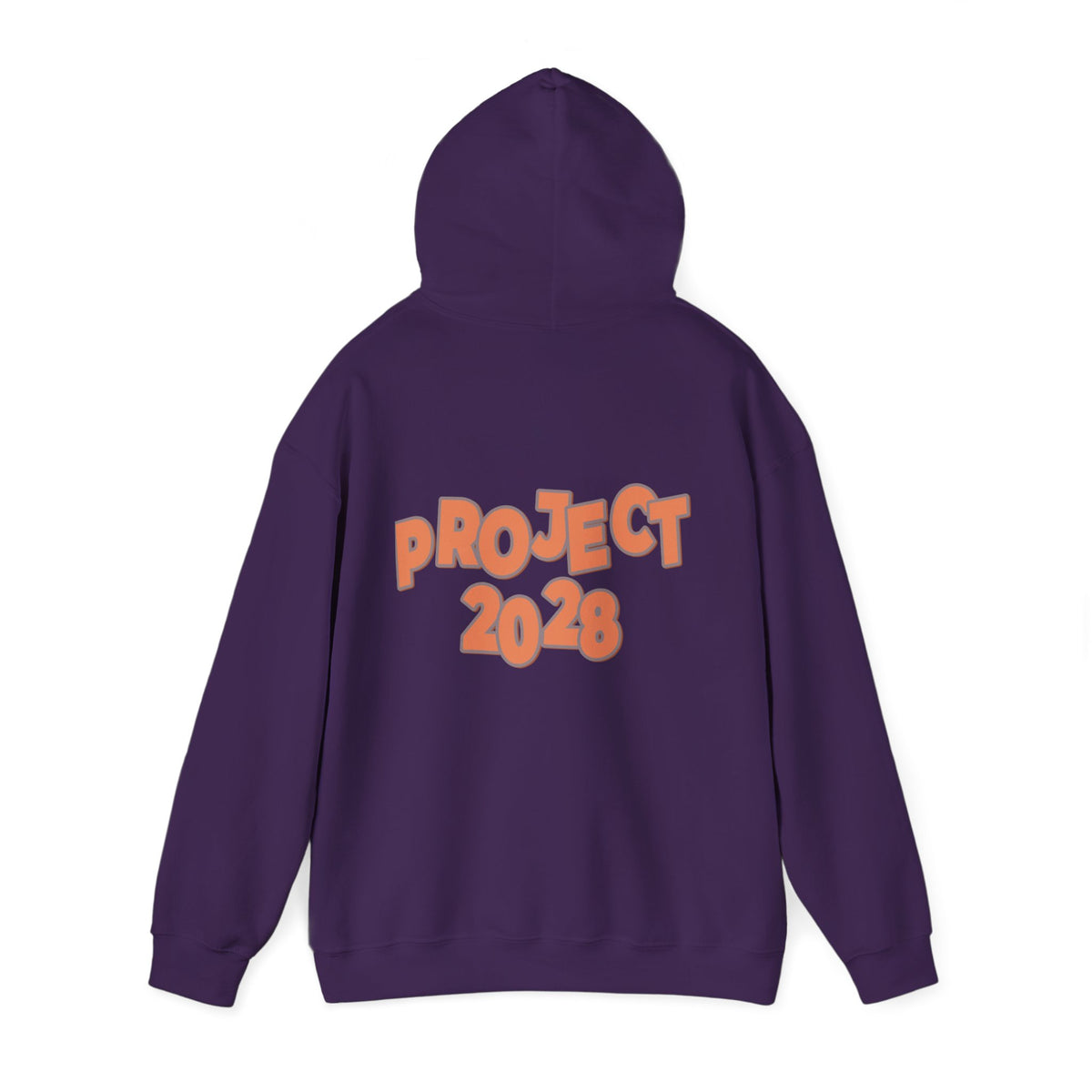 Protect Democracy Project 2028 Hoodie | Social Awareness
