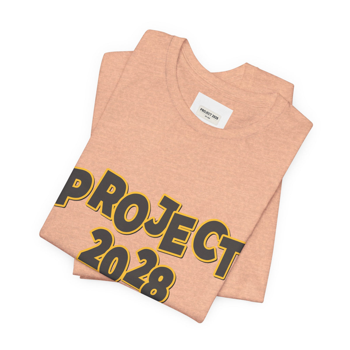 Project 2028 Tee — "Spirit Airlines is gone. Democracy could be next. Vote Blue." Political Graphic T‑Shirt - Make a Statement Without Saying a Word!