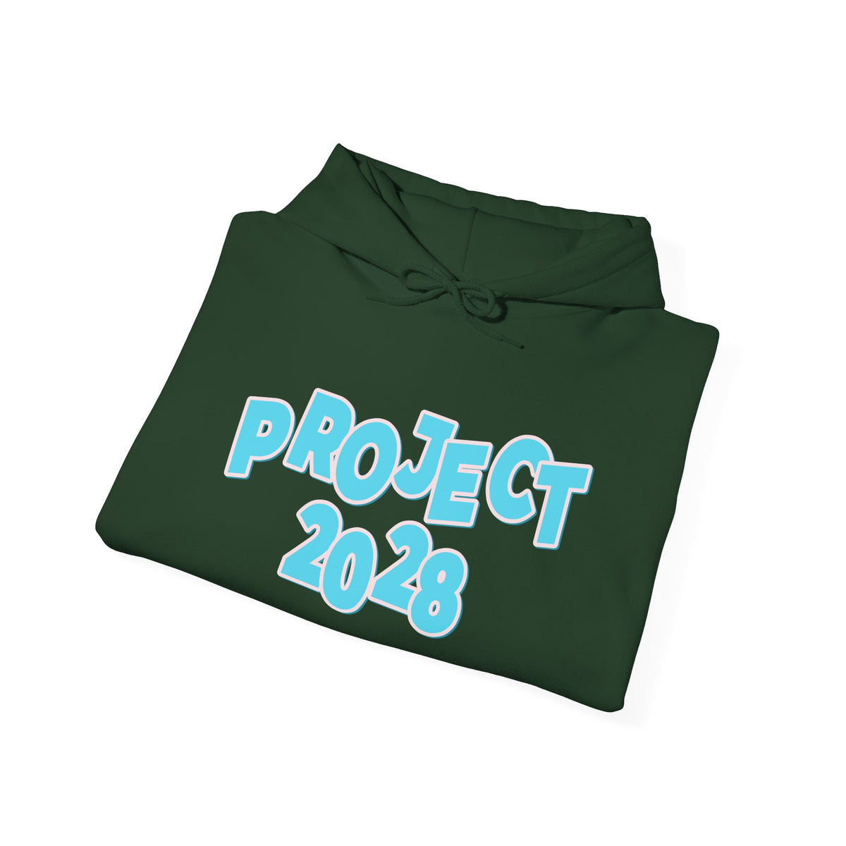 Project 2028 Hoodie | Democracy | Social Awareness