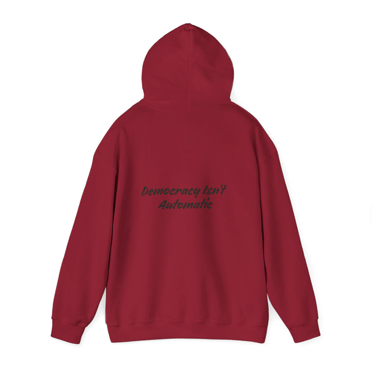 Product 2028 Graphic Hoodie | Democracy Isn't Automatic back print