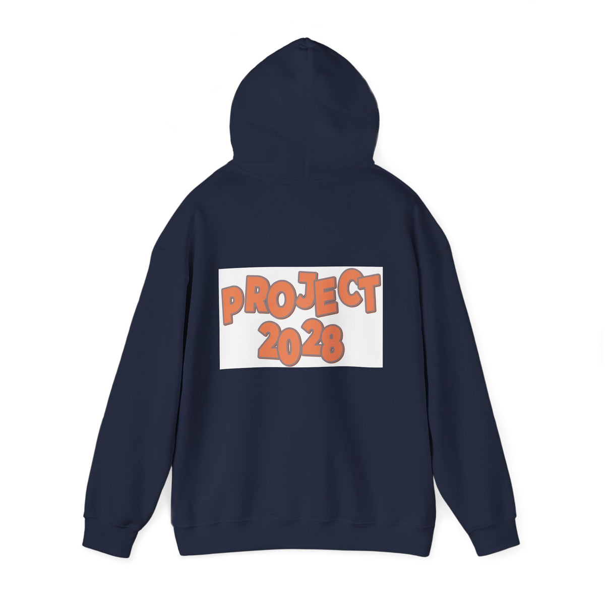 Project 2028 Hoodie | Protect Democracy text design