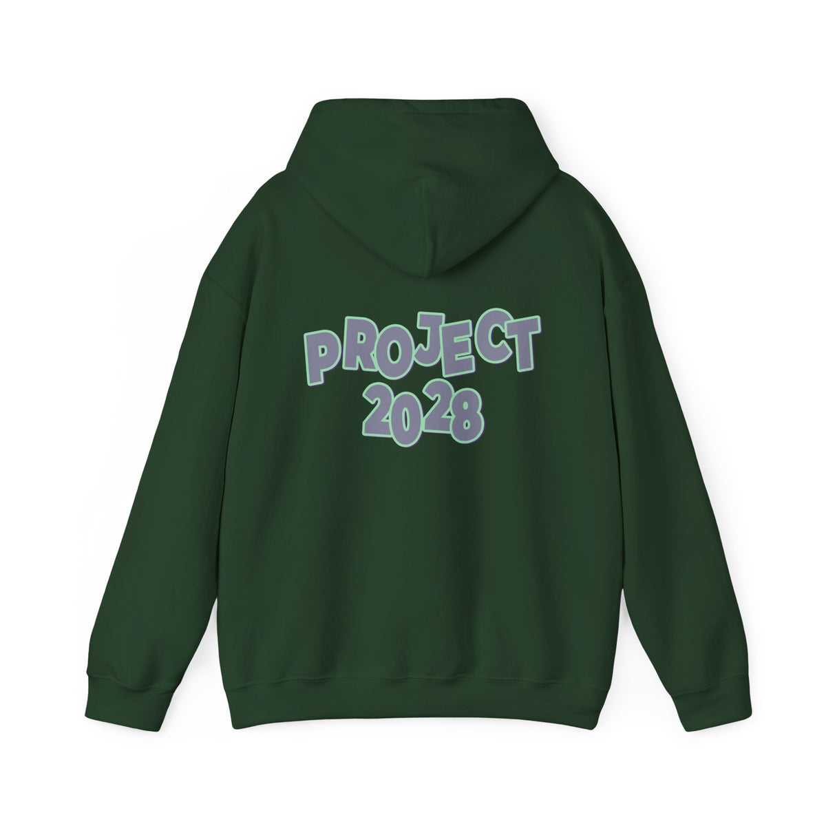 Project 2028 Hoodie | Protect Democracy graphic hoodie