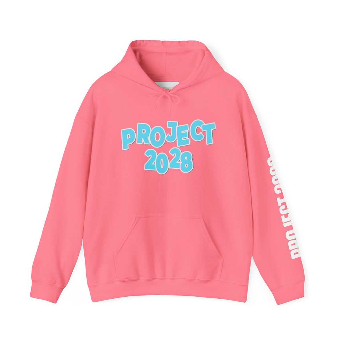 Project 2028 Hoodie | Democracy | Social Awareness