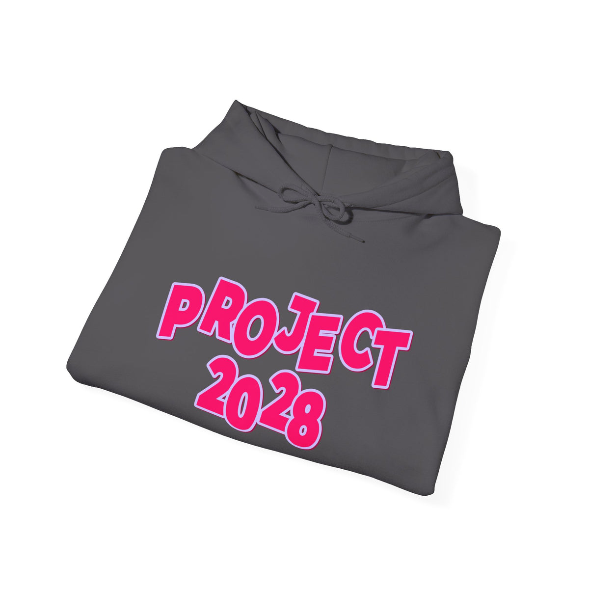 Project 2028 Hoodie | Social Awareness