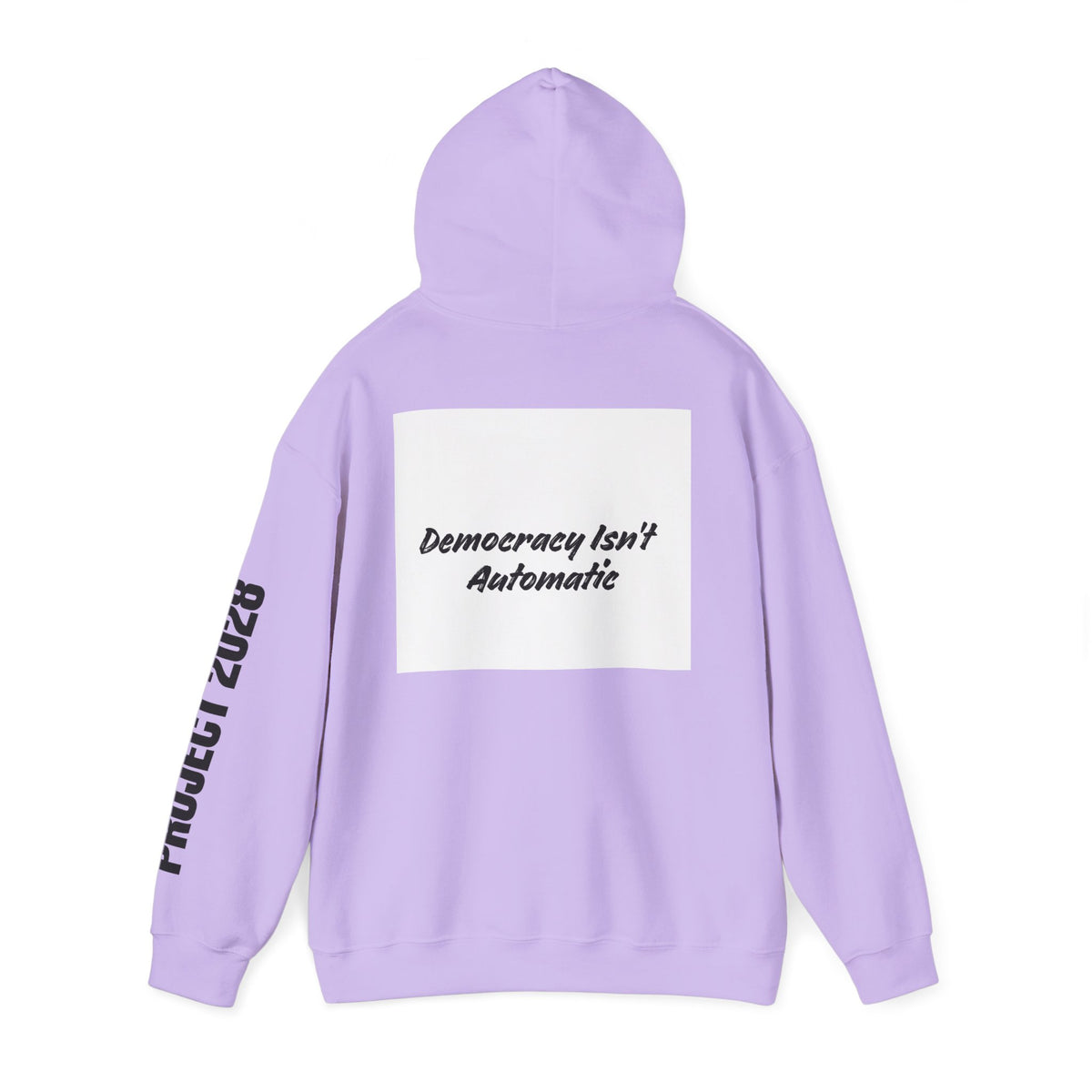 Protect Democracy Project 2028 Hoodie | Social Awareness