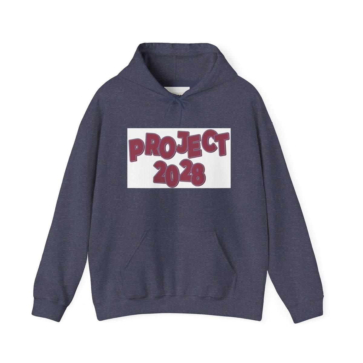Project 2028 hoodie | Democracy Isn't Automatic back print