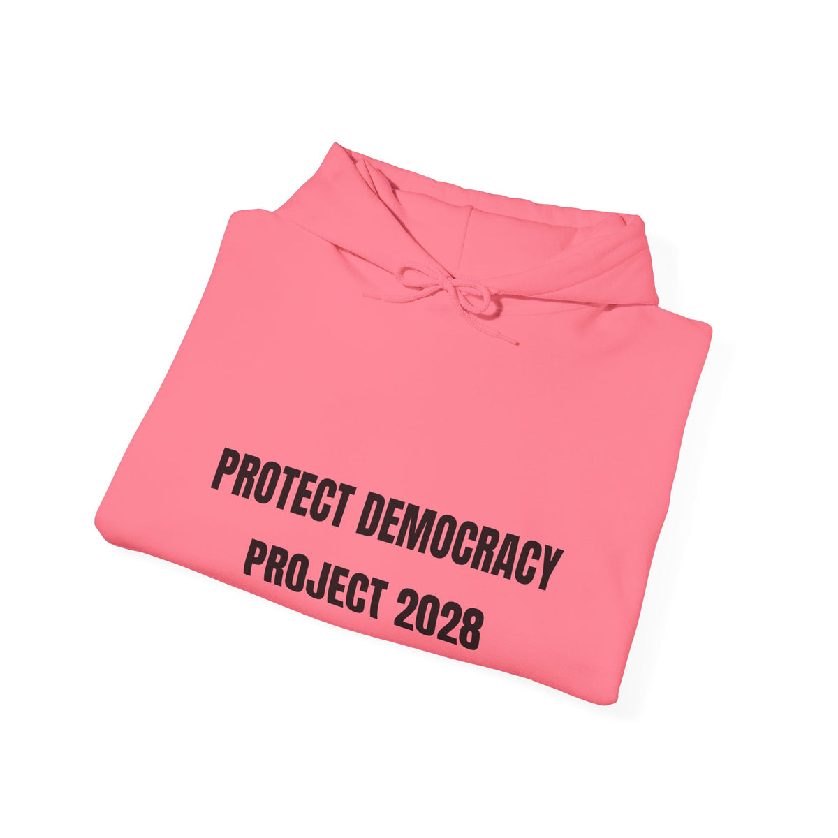Protect Democracy Project 2028 Hoodie | democracy text design