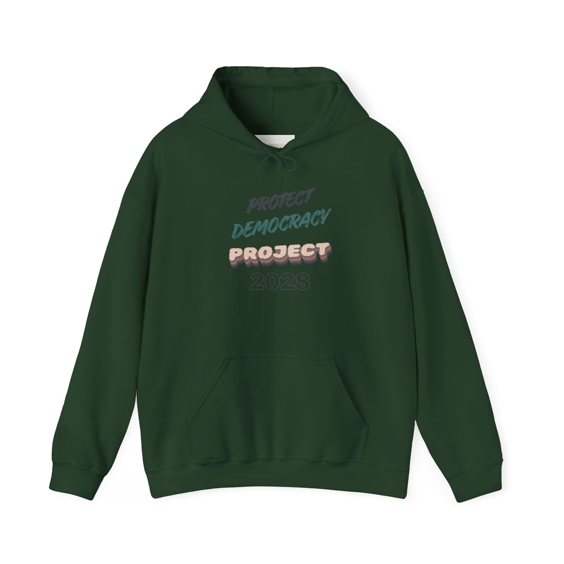 Project 2028 Hoodie | Protect Democracy graphic hoodie