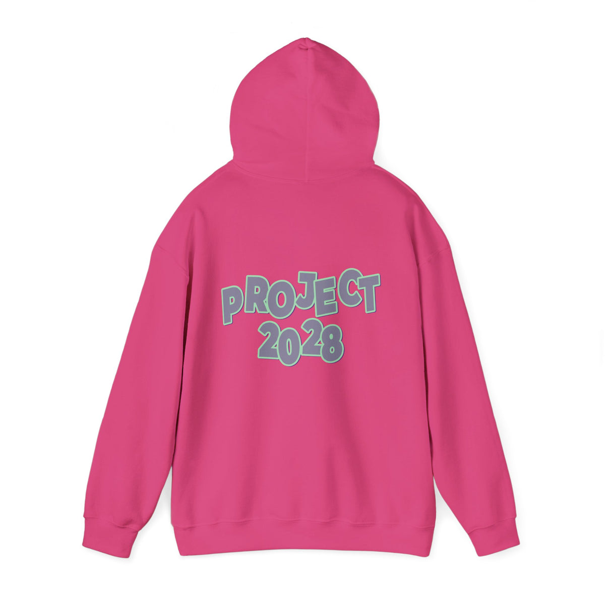 Project 2028 Hoodie | Protect Democracy graphic hoodie
