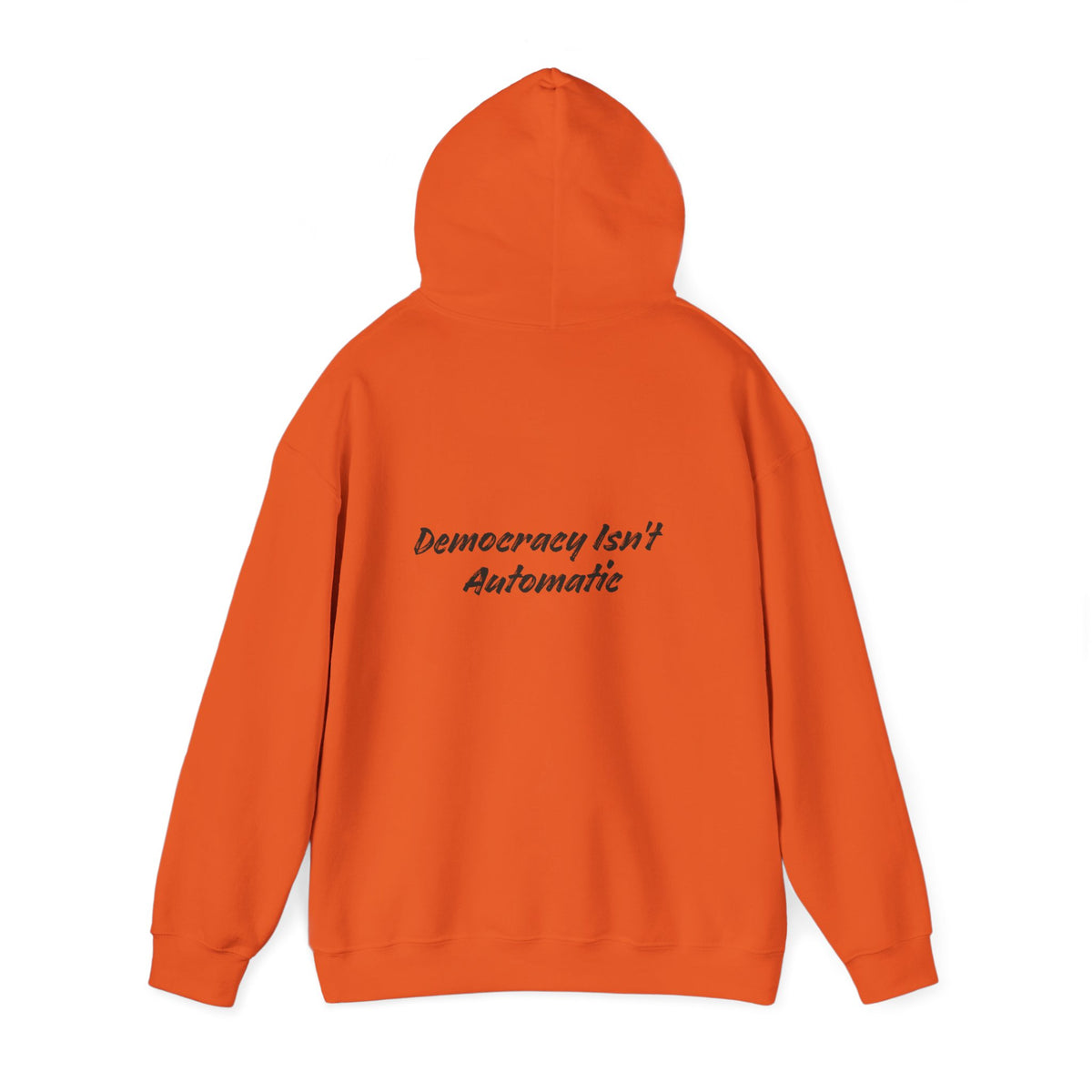 Protect Democracy Project 2028 Hoodie | Social Awareness