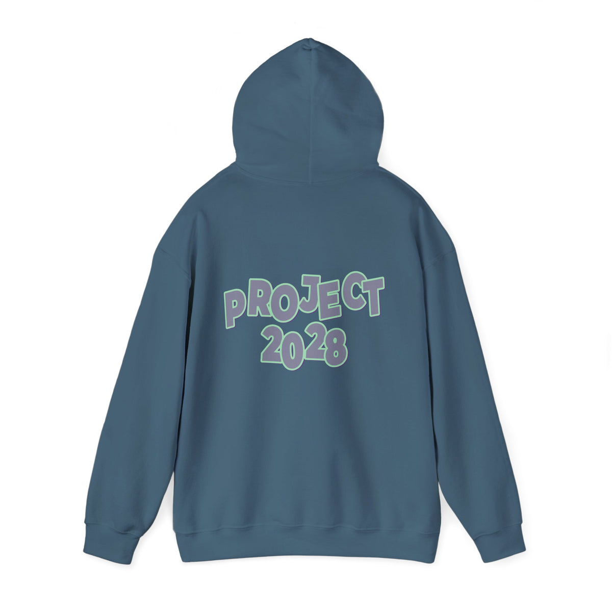 Project 2028 Hoodie | Protect Democracy graphic hoodie