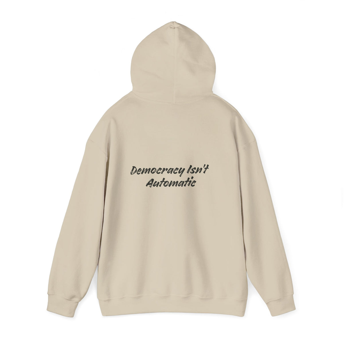Protect Democracy Project 2028 Hoodie | democracy text design