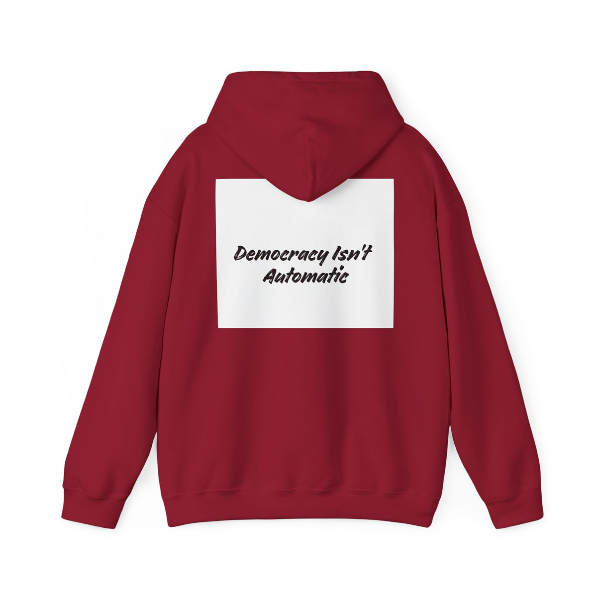 Protect Democracy Project 2028 Hoodie | Social Awareness