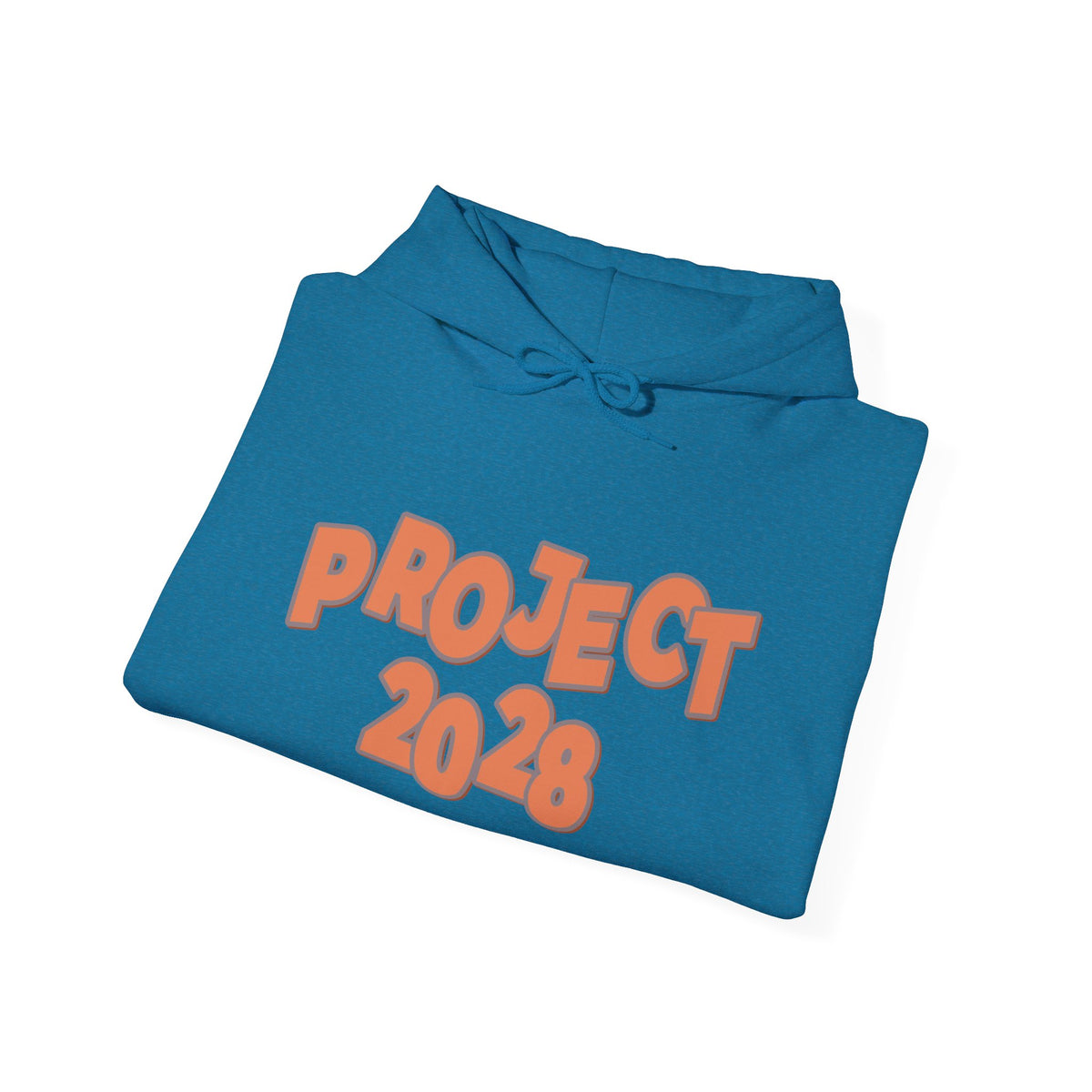 Project 2028 Hoodie | Democracy | Social Justice Message