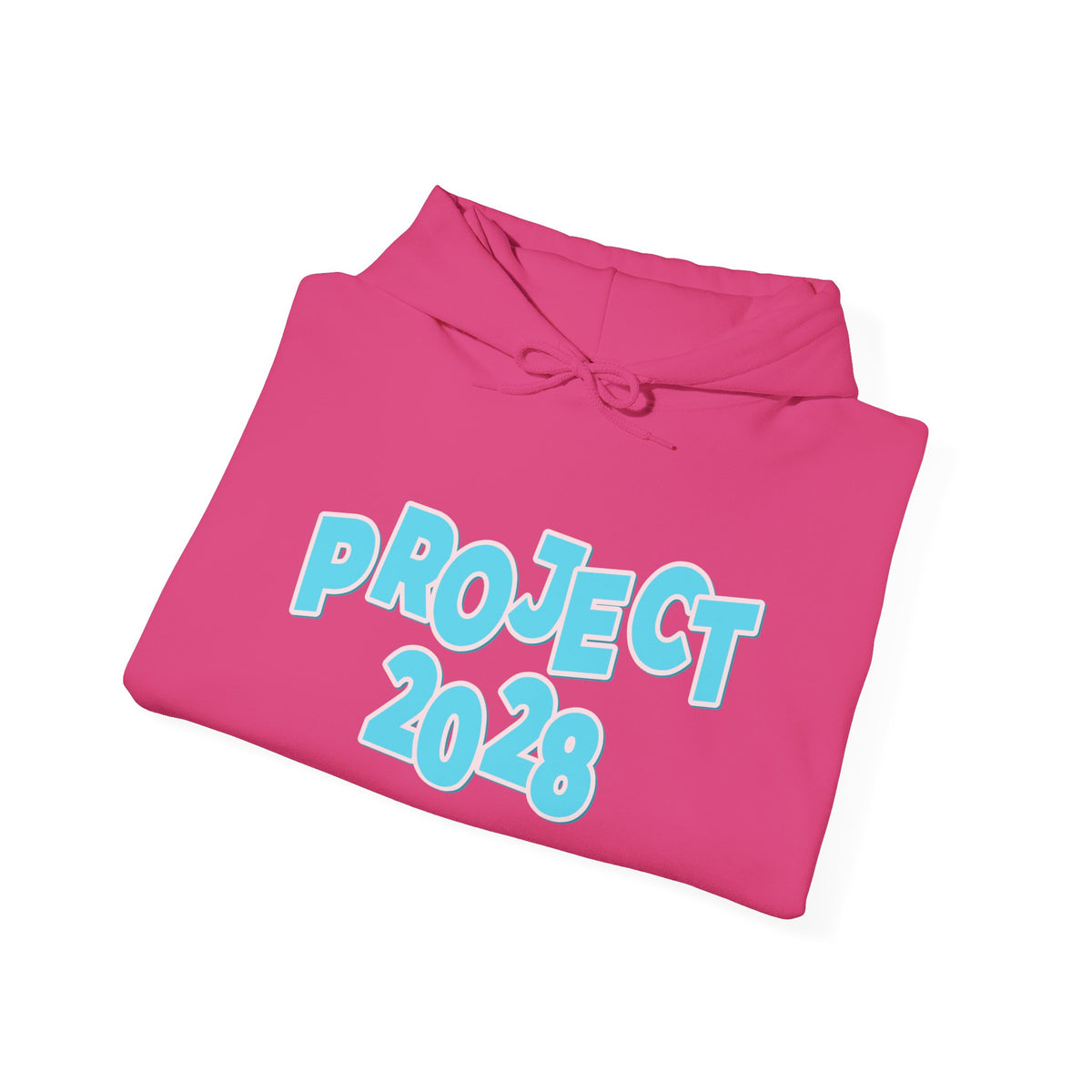 Project 2028 Hoodie | Democracy | Social Awareness