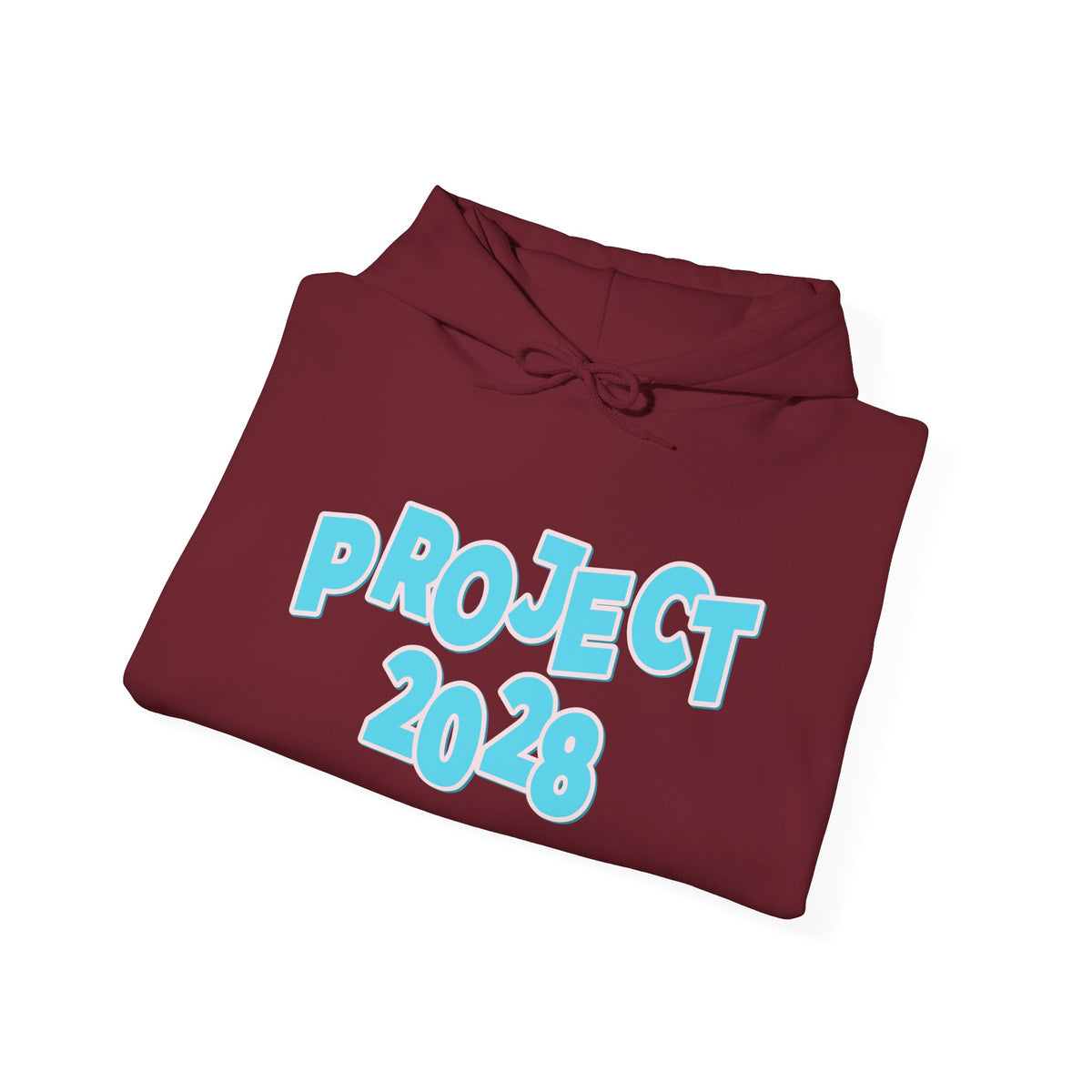 Project 2028 Hoodie | Democracy | Social Awareness