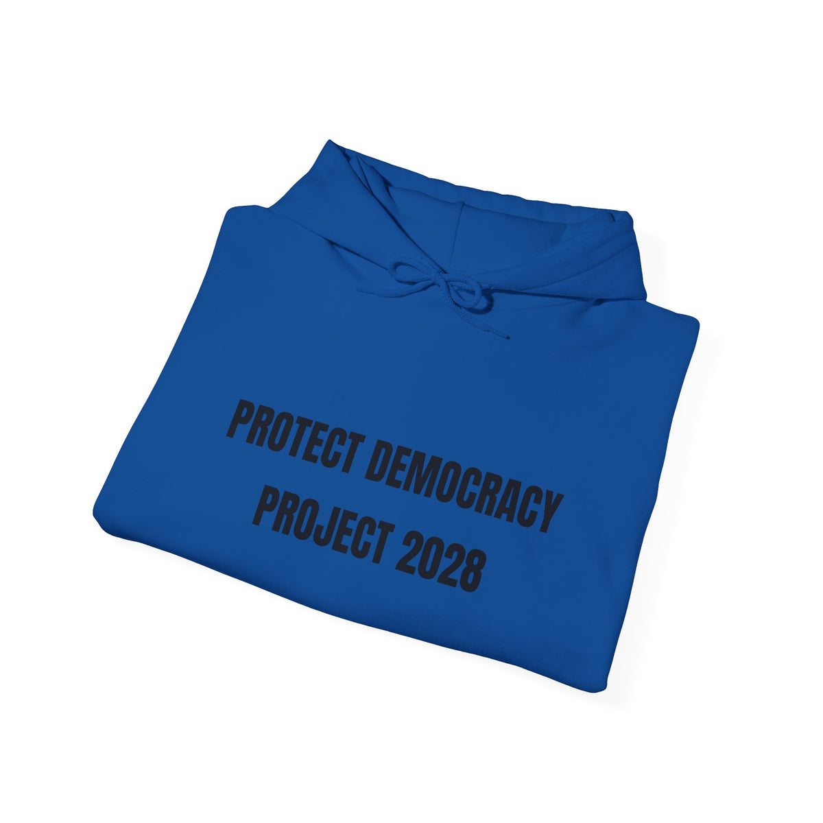 Protect Democracy Project 2028 Hoodie | Social Awareness