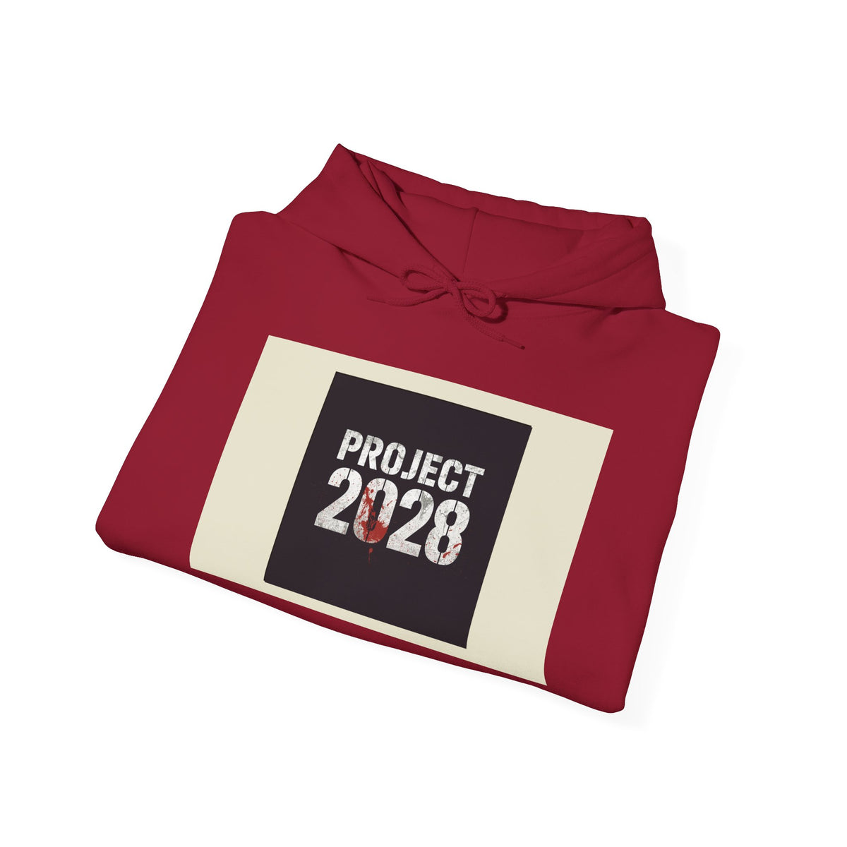 Copy of Product 2028 graphic Hoodie | Democracy Isn't Automatic slogan back