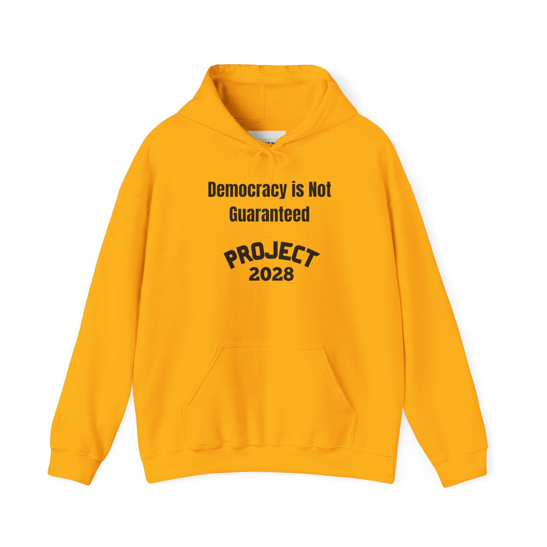 Copy of Project 2028 hoodie | Democracy | Social Awareness