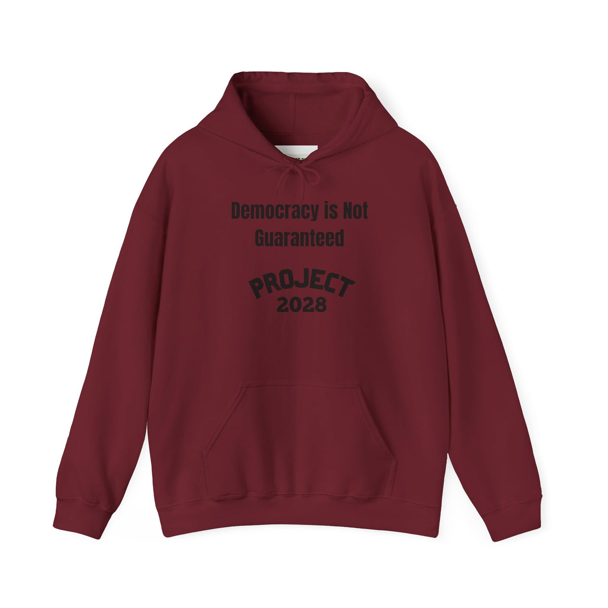 Copy of Project 2028 hoodie | Democracy | Social Awareness