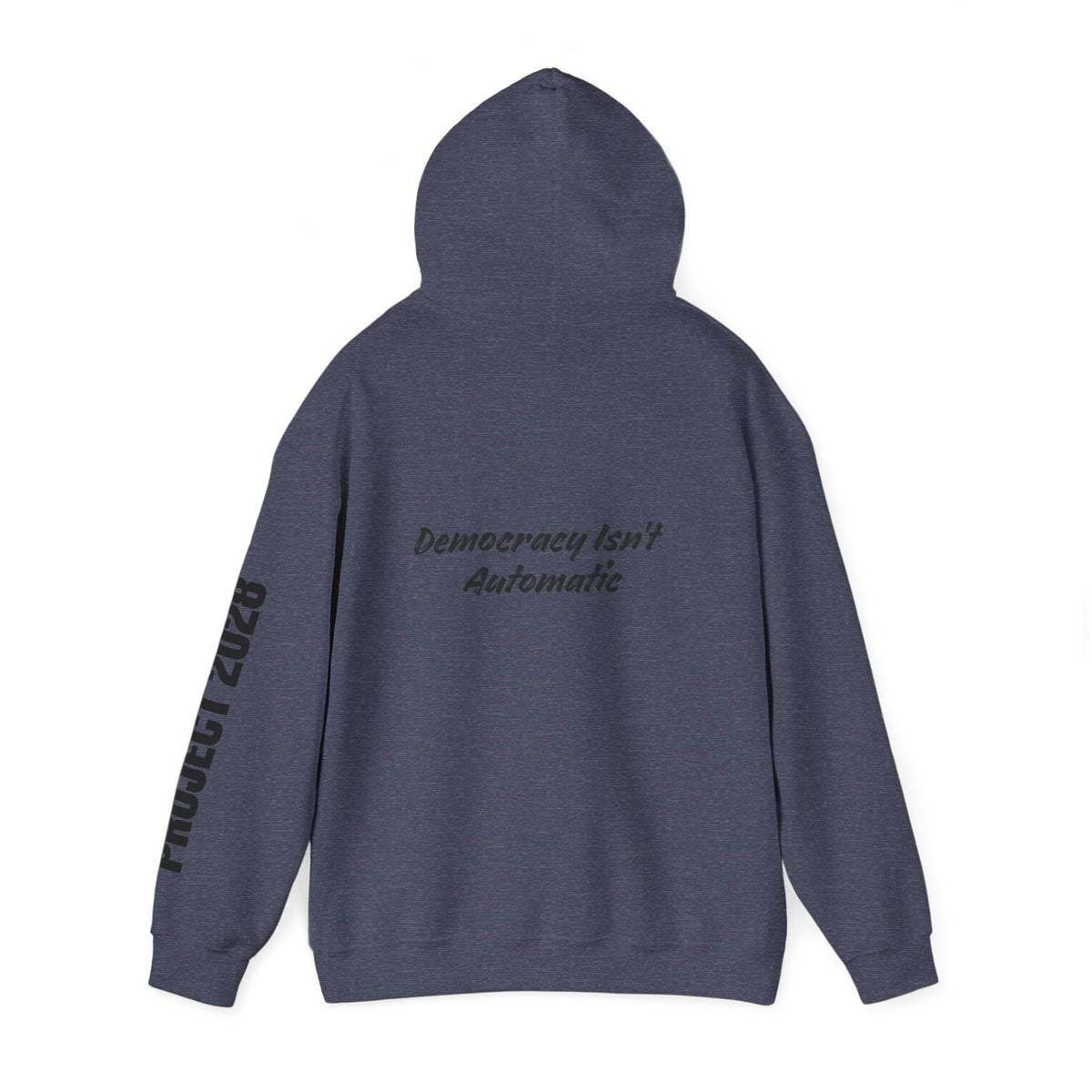 Protect Democracy Project 2028 Hoodie | Social Awareness