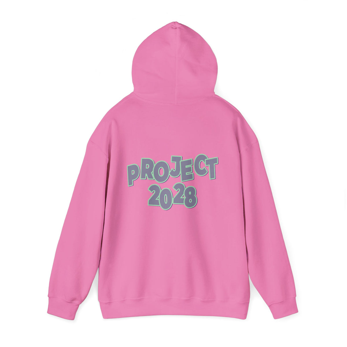 Project 2028 Hoodie | Protect Democracy graphic hoodie